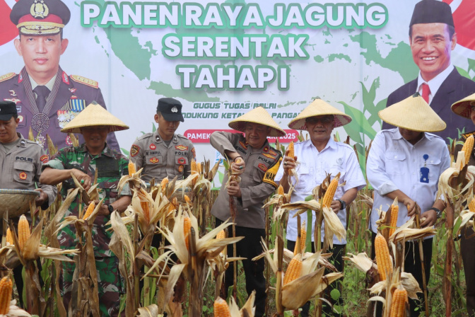Dukung Ketahanan Pangan Nasional, Polres Pamekasan Panen Raya Jagung di Desa Ponteh
