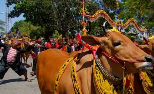 Menyingkap Potensi Tersembunyi Pulau Madura: Dari Alam hingga Budaya