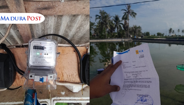 PLN Denda Warga Rp33 Juta, Jailani: KWH Sudah Dicabut, Kok Masih Dibilang Melanggar?