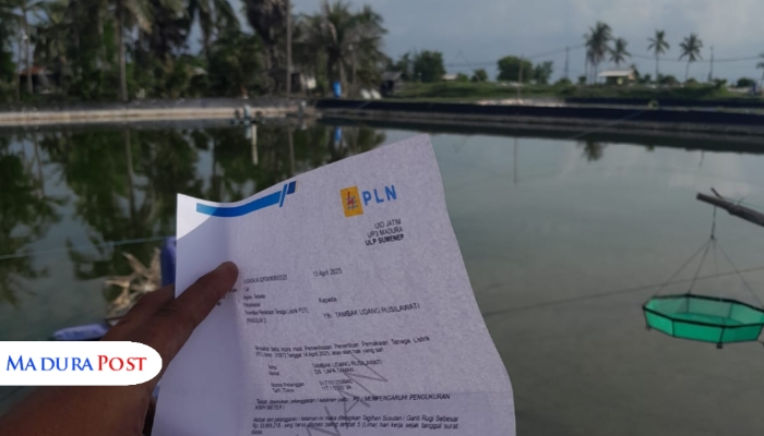 Rekayasa Mirip ‘Sambo’ di Sumenep, Jebakan Listrik Untuk Pengusaha Tambak