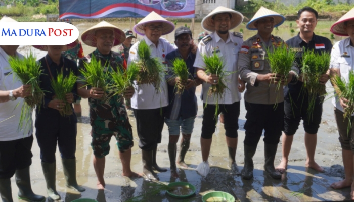 Sumenep Dorong Swasembada Lewat Tanam Padi Serentak