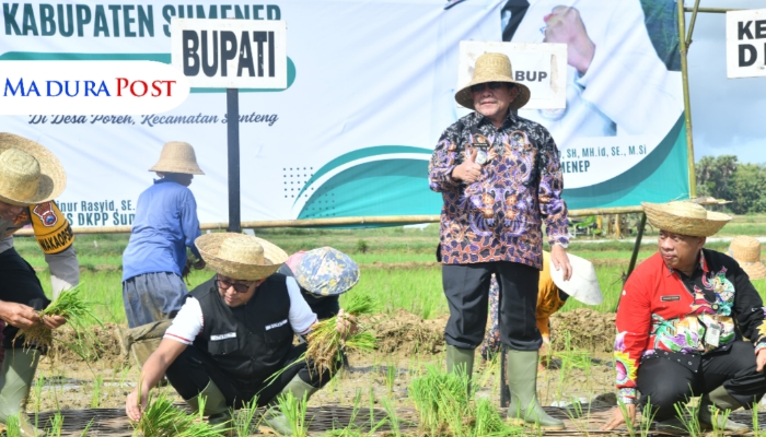 Pemkab Sumenep Gencarkan Gerakan Tanam Padi, Dorong Daerah Jadi Sentra Pangan Jawa Timur