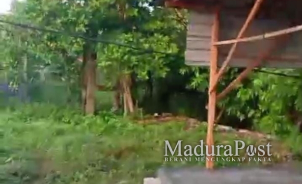 Kabel Listrik Nyaris Jatuh di Sampang Diduga Dibiarkan PLN 