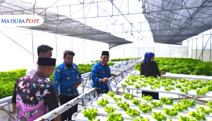 Petani Muda Kasengan Tunjukkan Gebrakan Pertanian Premium, DKPP Sumenep Dukung Penuh
