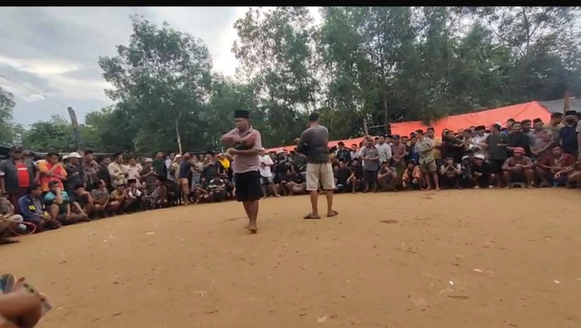 Dugaan Pembiaran, Judi Sabung Ayam di Kedungdung Sampang Kembali Bergeliat