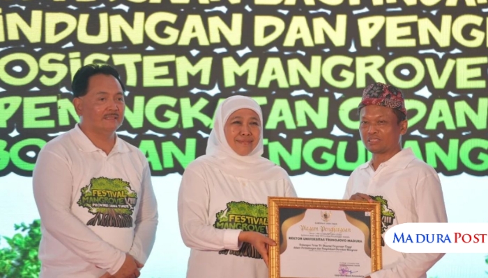 Kampus Trunojoyo Madura Tunjukkan Aksi Nyata, UTM Raih Penghargaan Peduli Ekosistem Mangrove
