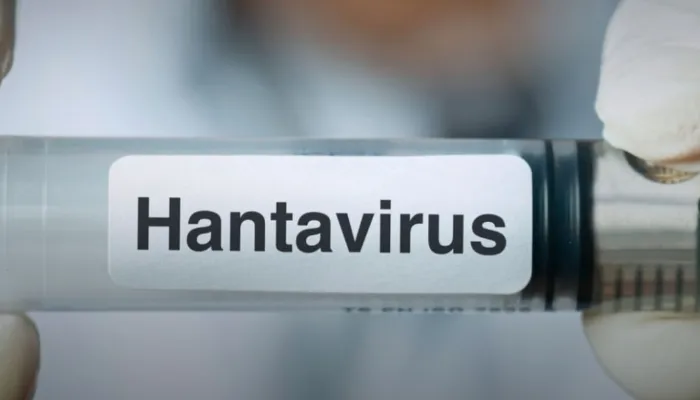 Hantavirus Pernah Muncul di Jatim, Dinkes: Kasus Januari 2026 Sudah Sembu