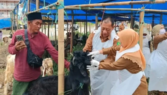 DKPP Sumenep Periksa Hewan Kurban, Delapan Lapak Sudah Disisi